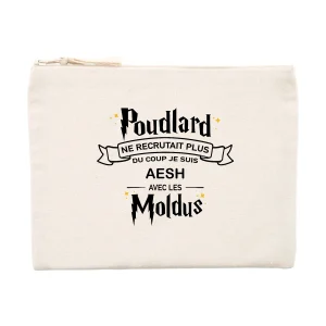 AESH - Poudlard