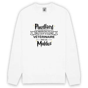 Poudlard vétérinaire