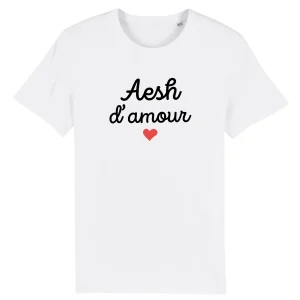 AESH d`amour