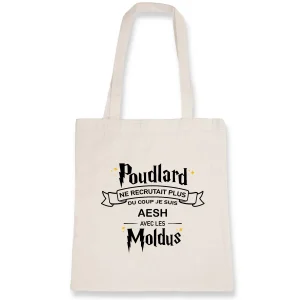 Poudlard recrute AESH