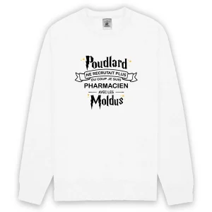 Poudlard recrute - pharmacien