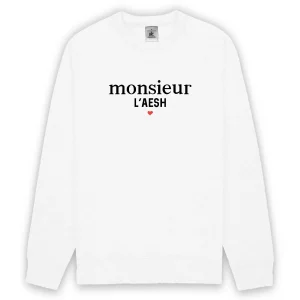 Monsieur l`AESH