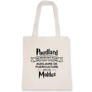 Poudlard auxiliaire de puériculture