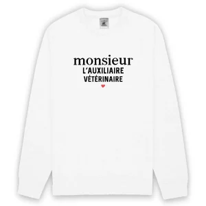 Monsieur l'auxiliaire vétérinaire