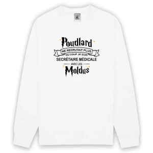 Poudlard secrétaire médicale