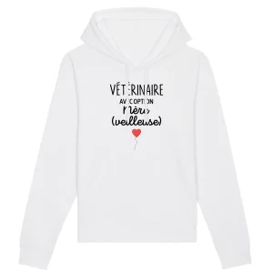 Vétérinaire mère-veilleuse