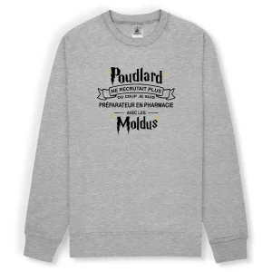 Poudlard - préparateur pharma