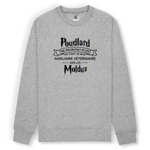 Poudlard - auxiliaire vétérinaire