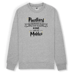 Poudlard recrute kiné