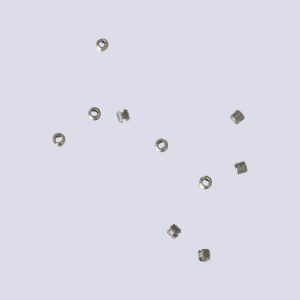 Vis NEPS fleuret (10)